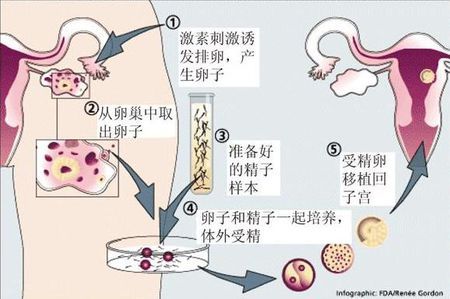 关于木棉医疗中心